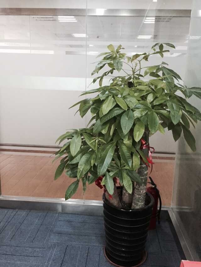 公司一角